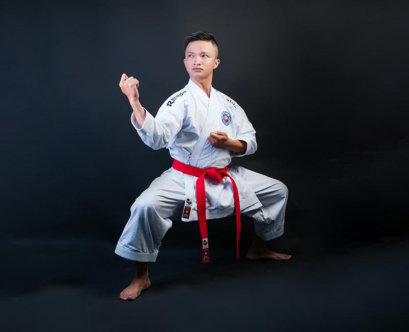 kung fu basic stances