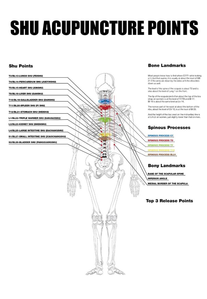 Shi Acupuncture Points