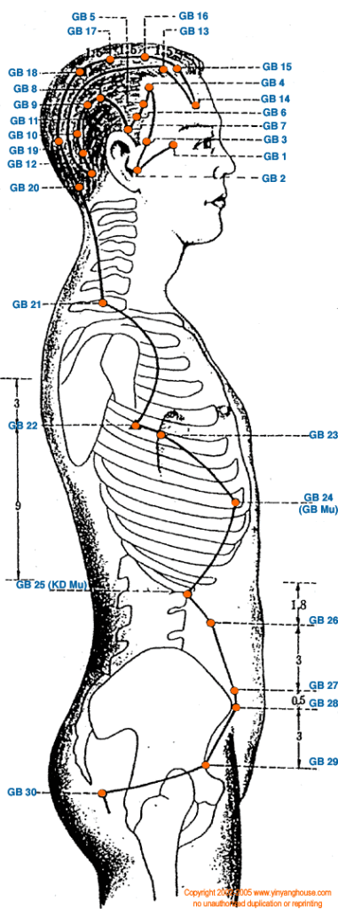 Gall Bladder Acupuncture Channel often causing Headaches