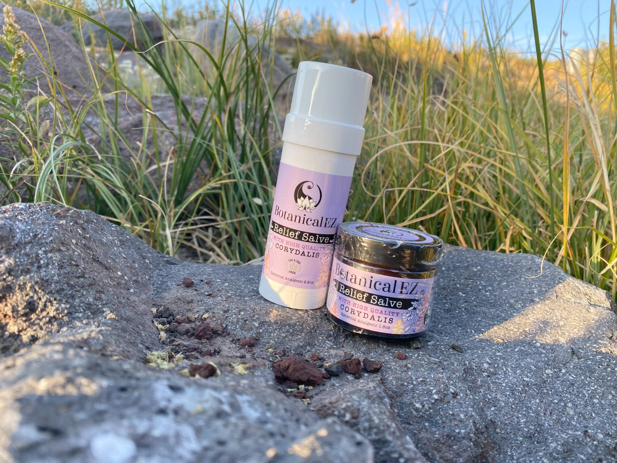 Botanical Ez Relief Salve Corydalis Stick and Salve on Rock