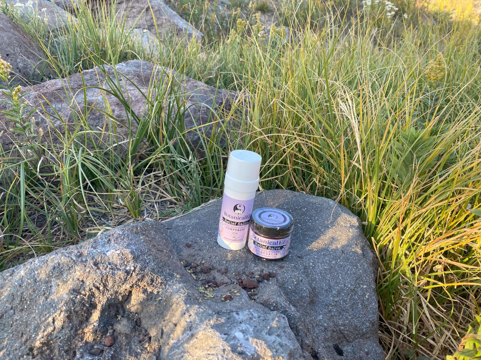Botanical Ez Relief Salve Corydalis Stick and Salve on Rock Far away