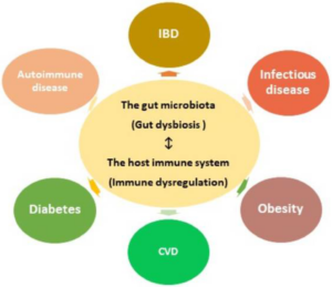 picture of gut microbiome and related disease