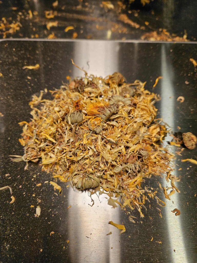Calendula (Jin Zhan Ju)