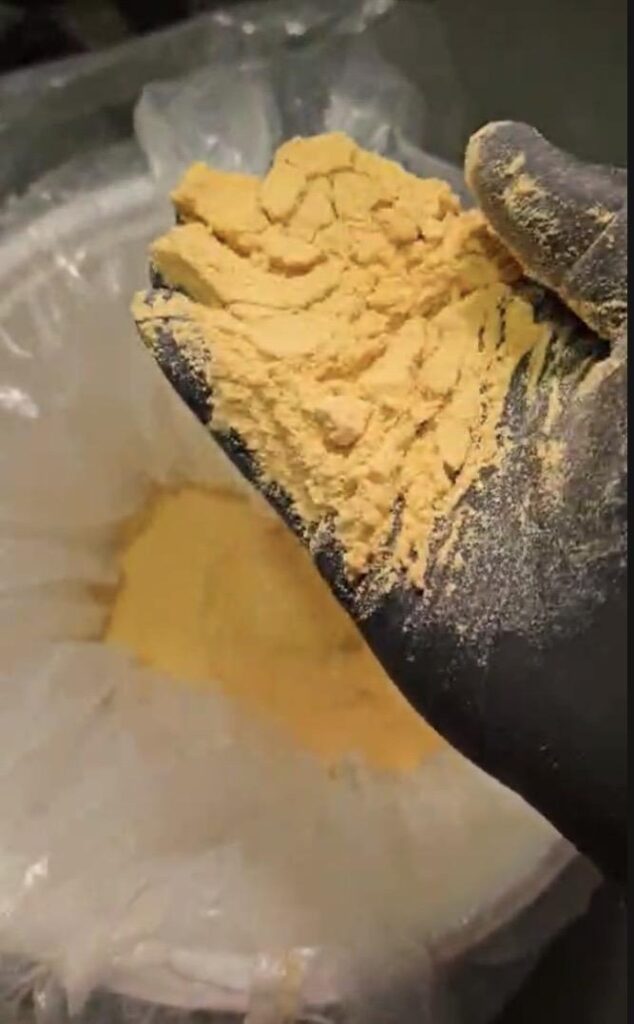 Mustard Seed (Jie Zi / Bai Jie Zi)